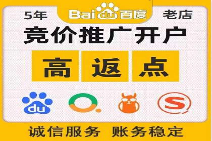 某电商企业如何通过百度竞价广告提升销售额